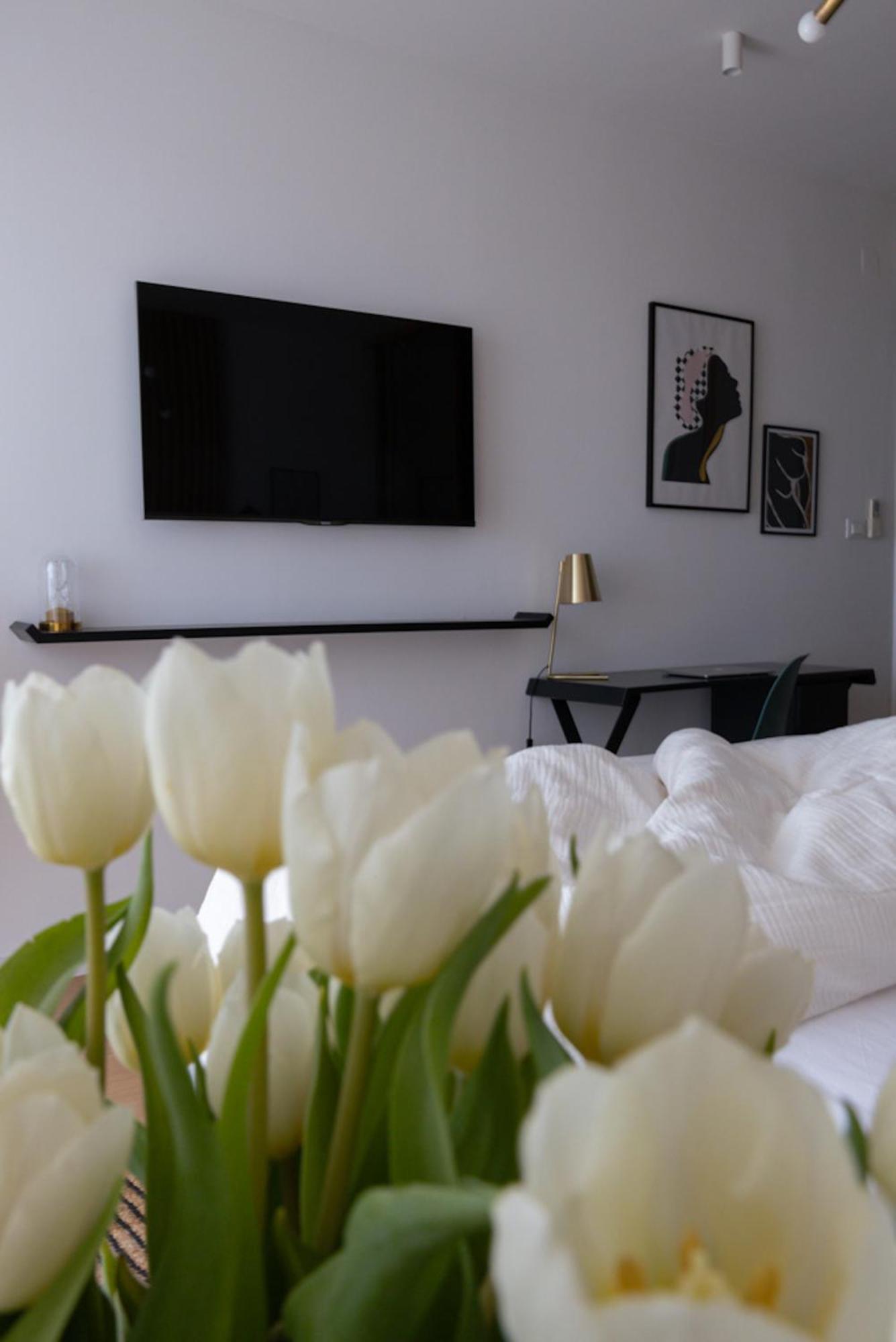 شقة D'Art Penthouse سبليت المظهر الخارجي الصورة